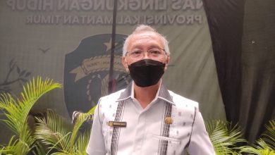Photo of Wakil Ketua DPRD Kaltim Khawatir Kawasan Hijau di IKN Sulit Tercapai