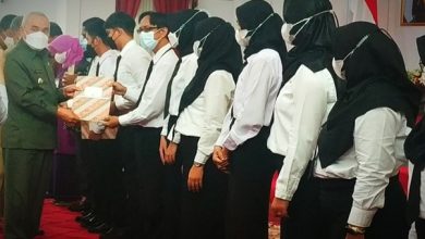 Photo of Gubernur Kaltim Akan Pertahankan Honorer