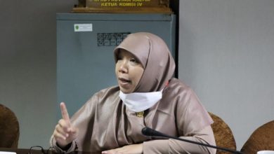 Photo of Pansus Kepemudan Minta Perpanjang Masa Kerja Satu Bulan