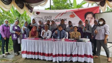 Photo of Ananda Dorong Pemprov Perkuat Program Ketahanan Keluarga