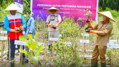 Photo of Hutan Pertamina Mahakam Diresmikan di Muara Jawa