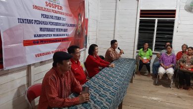 Photo of Veridiana Huraq Wang Sosialisasikan Perda Perlindungan MHA di Long Lunuk