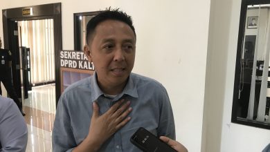 Photo of Gandeng PT Pelindo, Perusda MBS Kelola Kegiatan Pandu dan Tunda Kapal