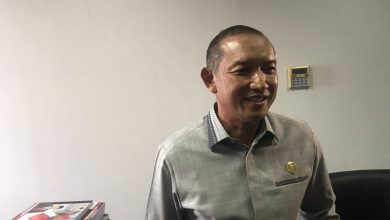 Photo of Agiel Suwarno Usulkan Program Swasembada Ternak Agar Kaltim Tidak Bergantung Pada Daerah Lain