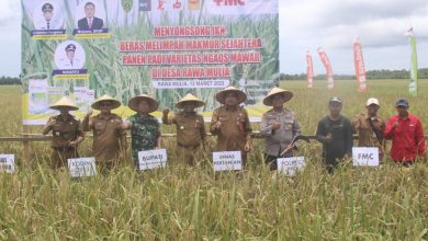 Photo of Hamdam Menegaskan Stop Alih Fungsi Lahan Pertanian