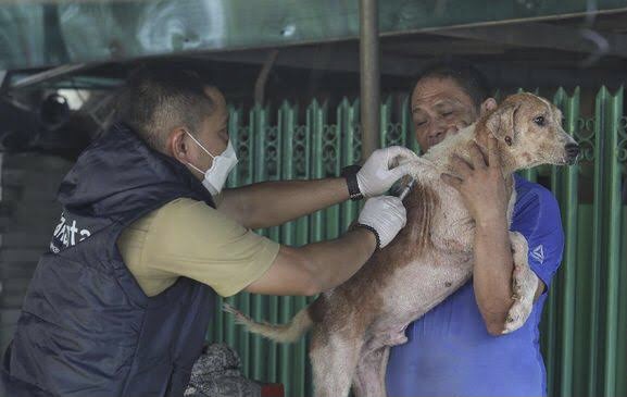 Photo of Waspada Rabies, Disnak Keswan Kaltim Berikan Himbauan untuk Vaksin Hewan Peliharaan