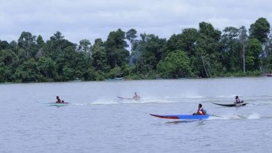 Photo of Desa Saliki Bakal Gelar Festival Balap Perahu Ketinting Untuk Tarik Minat Pengunjung