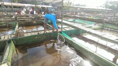 Photo of Gandeng Pemuda, Upaya Desa Ponoragan Tingkatkan Produktifitas di Sektor Perikanan