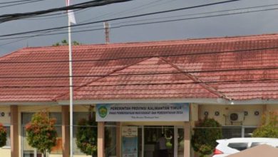 Photo of DPMPD Kaltim Siap Implementasikan Kebijakan Peningkatan Penggunaan Produk Dalam Negeri Melalui E-Katalog