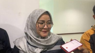 Photo of Novi Dorong Pengembangan Ekraf untuk Pertumbuhan Kota
