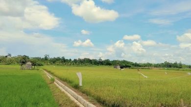 Photo of Tingkatkan Kesejahteraan Petani, Pembangunan Saluran Irigasi Jadi Prioritas