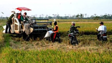 Photo of Pimpinan DPRD Sepakat Jadikan Kaltim Sebagai Lumbung Pangan untuk IKN