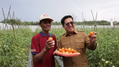 Photo of Kukar Investasi Rp 700 Miliar untuk Transformasi Sektor Pertanian