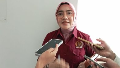 Photo of Program Unggulan 10.000 Wirausaha Belum Capai Target, Laila Nilai Perlunya Peningkatan Sosialisasi