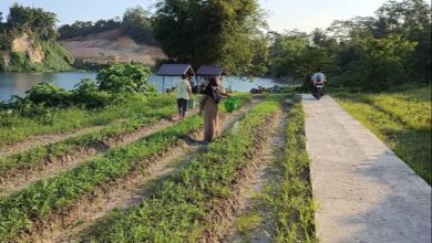 Photo of Inovasi Desa Purwajaya: Langkah Menuju Sektor Agrikultur dan Peternakan yang Lebih Maju