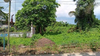 Photo of Kantor Desa Baru di Loa Raya, Kukar: Inovasi Layanan untuk Warga