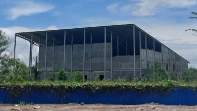 Photo of Tenggarong Bertransformasi: Infrastruktur dan Ekonomi Kreatif Jadi Prioritas di Kutai Kartanegara