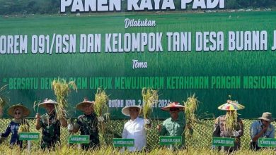 Photo of Desa Buana Jaya Prioritaskan Normalisasi Pintu Air untuk Panen Padi yang Berlimpah