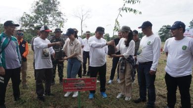 Photo of Pemkab Kukar Rayakan Hari Lingkungan Hidup Sedunia 2024 dengan Penanaman Pohon di Pulau Kumala