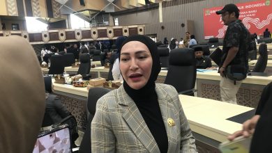 Photo of Tekan Angka Kekerasan, Shemmy Sebut Perlu Kolaborasi Antar Pihak