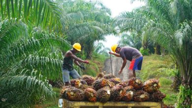 Photo of BUMDes Desa Lebak Mantan Jadi Mesin Penggerak Ekonomi Lokal