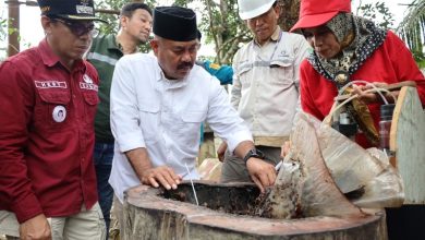 Photo of Bupati Kukar Dorong Madu Kelulut Tani Harapan Masuk Pasar Nasional