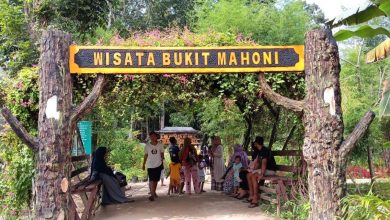 Photo of Pariwisata Kukar Melesat, 3,5 Juta Wisatawan Berkunjung dalam Tiga Tahun