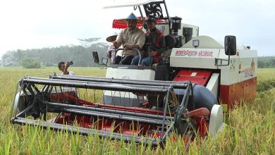 Photo of Kukar Tak Main-main! 2.400 Hektare Diusulkan untuk Tanam Padi Nasional