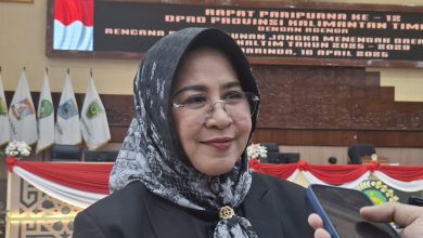 Photo of Syarifatul Serukan Pengembangan Rute Udara Guna Menopang Kemajuan Sektor Pariwisata Berau
