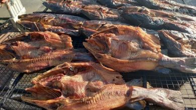 Photo of Ikan Asap Kota Bangun Didorong Jadi Produk Unggulan UMKM