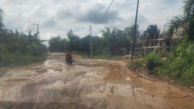Photo of Trans Kalimantan Masih Mengalami Kerusakan Parah, Ekti Terus Berkordinasi Dengan Legislator Senayan