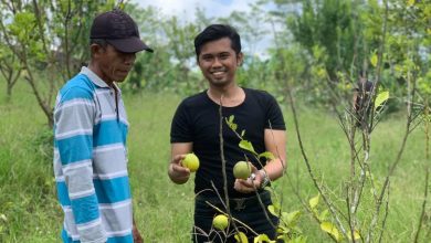Photo of DPRD Ajak Pemuda Garap Pertanian dan Perikanan untuk Suplai Pangan IKN