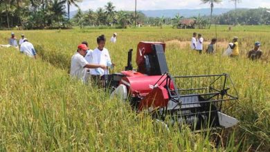 Photo of Regenerasi Petani Dan Pemamfaatan Teknologi, Ananda Beri Sorotan Serius Dalam Sektor Pertanian