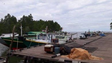 Photo of Pelabuhan Pelelangan Ikan Di Sangatta Perlu Dibangun, Nurhadi Sampaikan Pandangannya