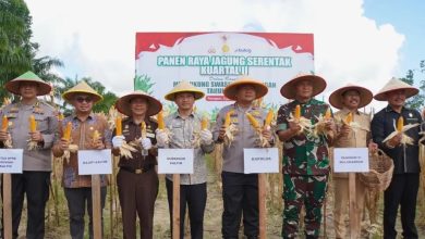 Photo of Fadly Hadiri Panen Raya, Dukungan Program Strategis Pemerintah Jadi Bukti Nyata