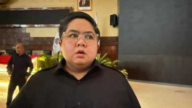 Photo of Program MBG Mendapatkan Dukungan, Ananda Sebut Petani Lokal Harus Dilibatkan