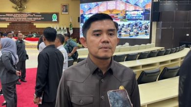 Photo of Andi Satya Ingatkan Perlindungan Anak Terancam Tanpa Dukungan Anggaran Memadai