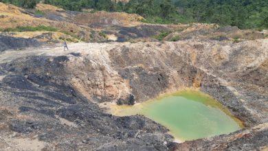 Photo of Guntur : Lahan Bekas Tambang Tak Bisa Instan Jadi Sawah, Restorasi Menyeluruh Jadi Kunci