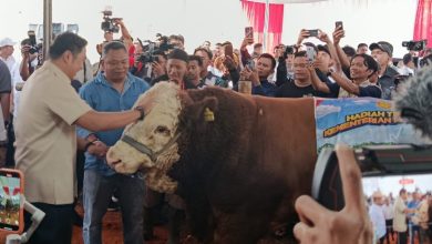 Photo of Wamentan Sudaryono Harapkan Sapi Betina Produktif Untuk Tidak Disembelih Saat Idul Adha