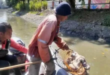 Photo of Limbah Kurban Masih Cemari Sungai Samarinda, DLH Soroti Kepatuhan Warga