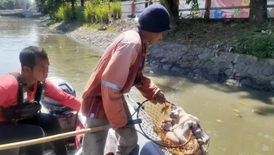 Photo of Limbah Kurban Masih Cemari Sungai Samarinda, DLH Soroti Kepatuhan Warga