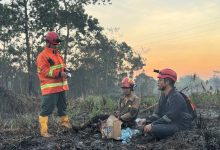 Photo of Karhutla Meluas, Ratusan Lahan Terbakar di Samarinda