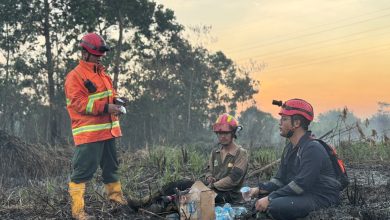 Photo of Karhutla Meluas, Ratusan Lahan Terbakar di Samarinda